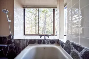 rinne 2nd living Kitakaruizawa Forest - Image 2