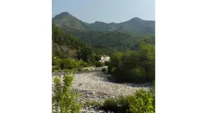 Moleras - Image 5