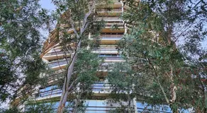 GREEN ROSE Quiet Spacious Lakeside Carpark Exceptional 70m2 - Image 5
