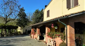 Francigena - Image 4