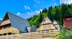 Cricova House - Image 4