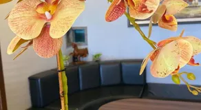 Ct Hotel - Image 5
