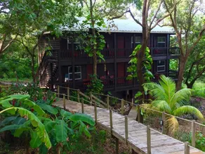 Upachaya - Image 5