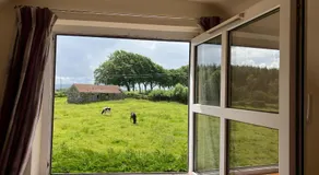 Scenic Countryside - Image 4