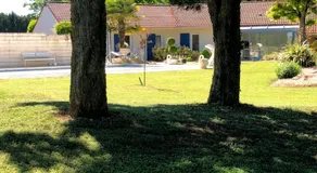 lagalerne - Image 5