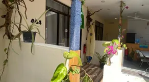 Maavaharu K.Himmafushi  - Image 4