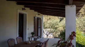 Olive Grove Zakynthos - Image 4