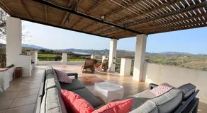 Finca Zayas Whole Estate - Image 3