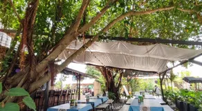 HYD Hostel Moalboal - Image 4