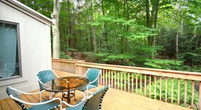 Bailey - Image 5