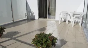 Flor Do Douro - Comércio e Hotelaria, Lda - Image 4