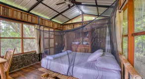 La Bambouseraie - Image 2