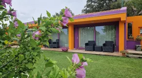 Limbara dreaming - Image 2