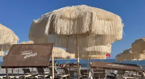 B&B Il Tentacolo - Image 5