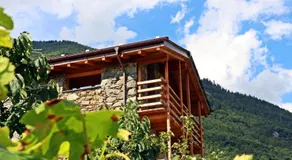 Una casa tra gli alberi - Image 3