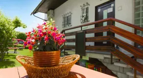 Apartments Rikli Rodine near Bled - Image 5