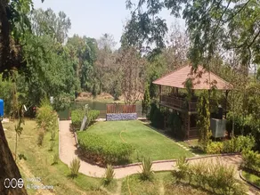 Wollywood, Wada - Image 5