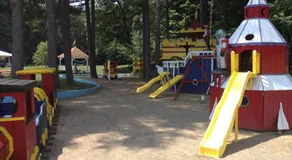 Colonel Williams Resort and Suites - Image 4