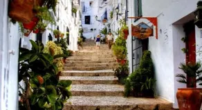 Casa Rubio - Image 4