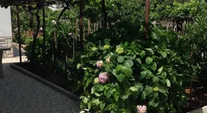Vila Alma - Image 5
