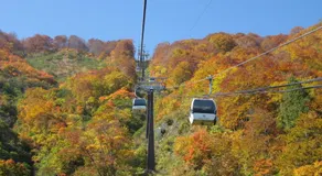 Kudo's Lodge - Image 4