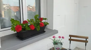 La Casita Blanca - Image 3