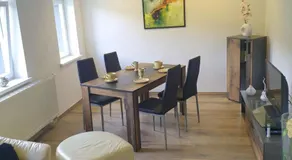 Saechsische-Schweiz-Ferienhaus-Wohnung-1-mit-Elbblick-Sauna-und-Kamin - Image 3