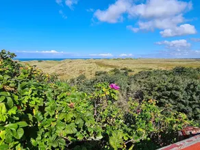 6 person holiday home in Hvide Sande - Image 4