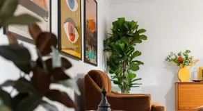 Mulloway Pet-Friendly Getaway - Image 5
