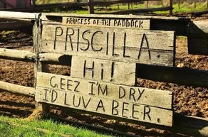 Pub in the Paddock - Image 3