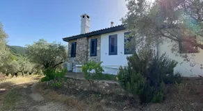 Lamin House - Image 5