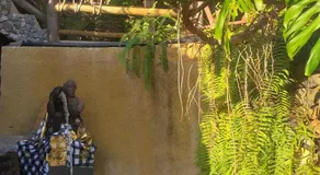 Dazk Golden Estate - Image 5
