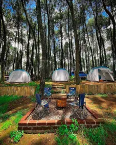 Datar Pinus Cabin 001 - Image 3