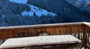 Chalet Villars-Gryon 8pax Cosy - Image 3