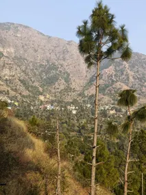 Valley View Homestay - Image 2