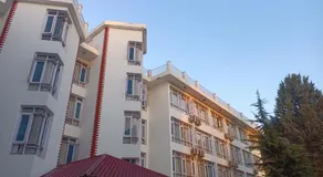 zoz dal - Image 4