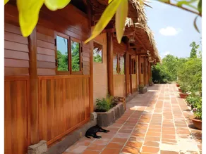 Nhà Dừa CocoHome Vinhlong-Unique-Peaceful- VIP5 - Image 4