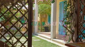 Bouganville - Image 4