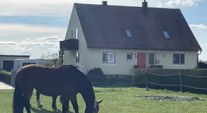 Ferienwohnung Storchenwiese im Fränkischen Seenland - Image 5