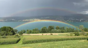Lake View Apartments Beinwil am See (30 km to Lucerne) - Image 5