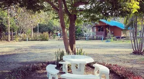 LPL Resort - Image 2