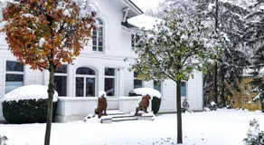 Meeressterne Hotel Weißes Schloß - Image 5