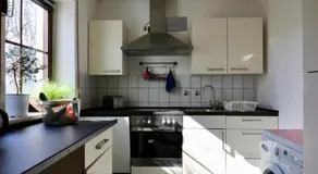 Biburg86420 - Image 2