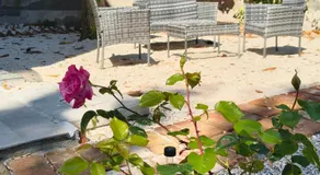 MTB b&b - Image 5