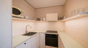 stella alpina - Image 5