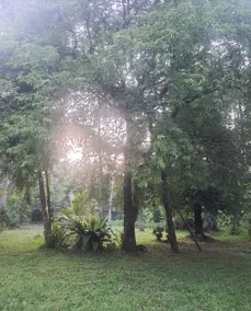Maithree International Meditation Center - Image 4
