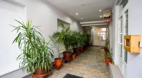 Casa Blum - Image 3