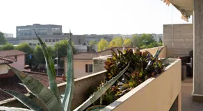 Edo's House - Image 3