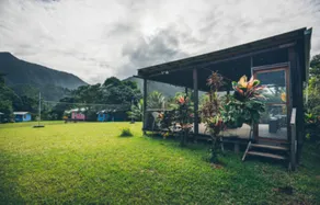 T.R.E.E.S Research Center and Eco Lodge - Image 5