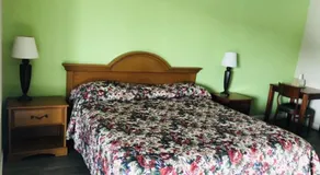Flamingo Beach Inn - Image 4